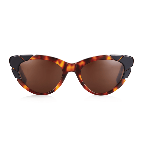 Round & Around / Light Tortoise Black - Shade Files